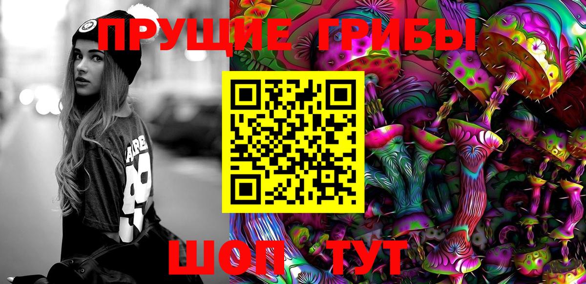 Псилоцибиновые грибы GOLDEN TEACHER Новокубанск